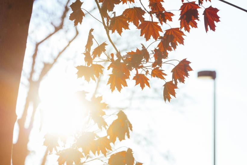 Fritz Perls, die Erfahrung der Leere und weshalb wir unser Training Living the Gestalt nennen Fritz Perls, die Erfahrung der Leere und weshalb wir unser Training Living the Gestalt nennen