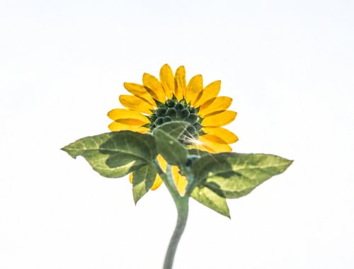 Unsere Vision 1